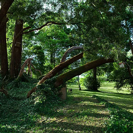 Отель A Torre De Лахе